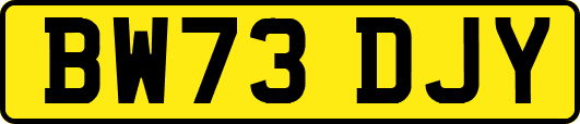 BW73DJY