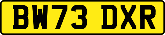BW73DXR