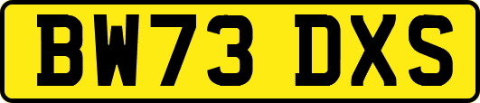 BW73DXS