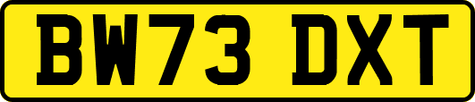 BW73DXT