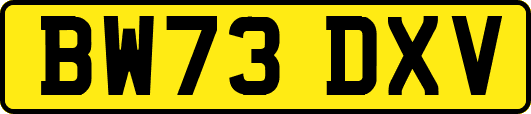 BW73DXV