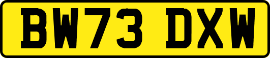 BW73DXW