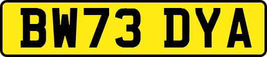 BW73DYA