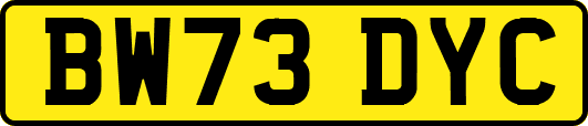 BW73DYC