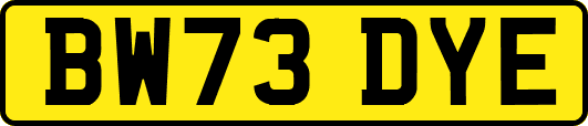 BW73DYE