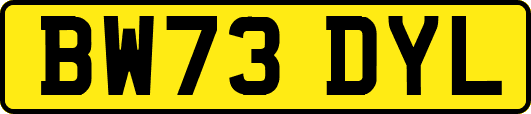 BW73DYL