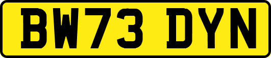 BW73DYN
