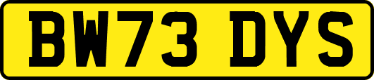 BW73DYS