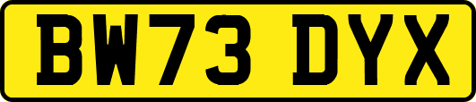 BW73DYX