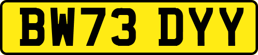 BW73DYY
