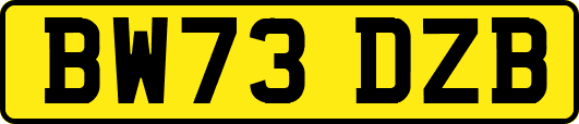BW73DZB