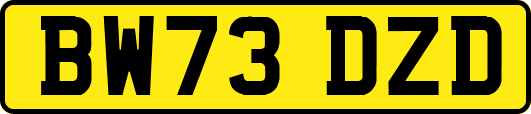 BW73DZD