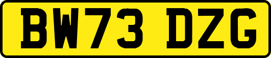 BW73DZG
