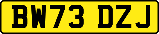 BW73DZJ
