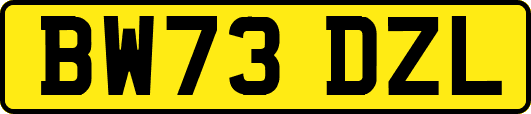 BW73DZL