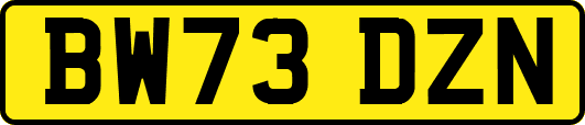 BW73DZN