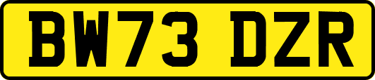 BW73DZR