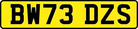 BW73DZS