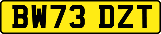 BW73DZT