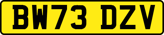 BW73DZV