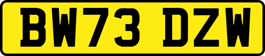 BW73DZW