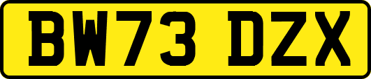 BW73DZX