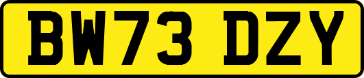 BW73DZY