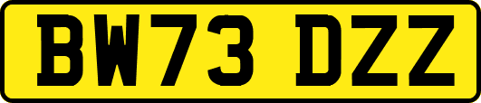BW73DZZ