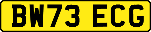 BW73ECG
