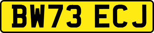 BW73ECJ