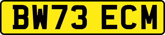 BW73ECM