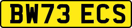 BW73ECS