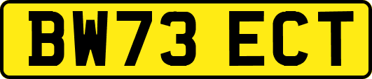 BW73ECT