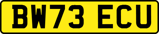 BW73ECU