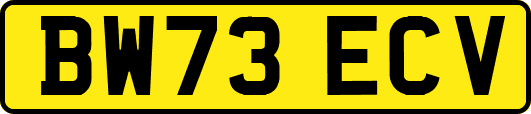 BW73ECV