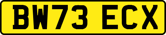 BW73ECX
