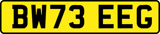 BW73EEG
