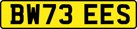 BW73EES