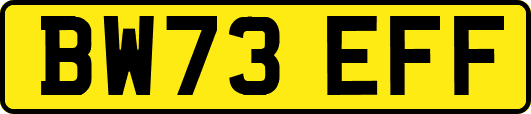 BW73EFF