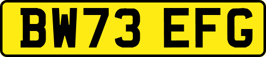 BW73EFG