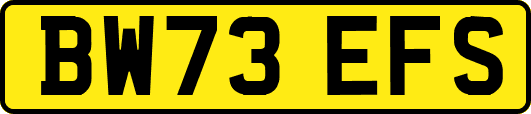 BW73EFS