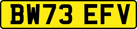 BW73EFV