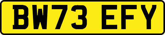 BW73EFY