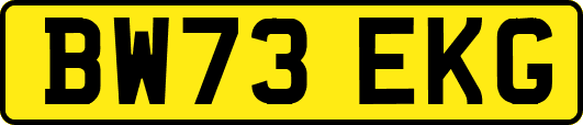 BW73EKG