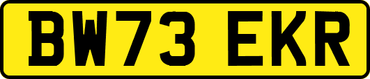 BW73EKR