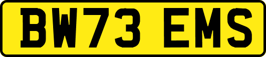 BW73EMS