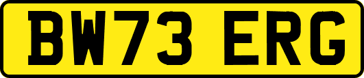 BW73ERG