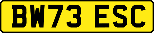 BW73ESC