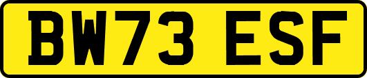 BW73ESF
