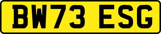 BW73ESG
